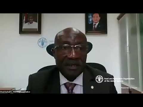 High Level Panel Discussion on the 2021 World Food Day