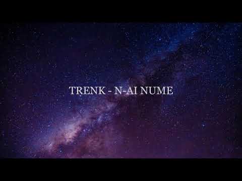 TRENK - N-AI NUME