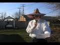Taco Grande - "Weird Al" Yankovic