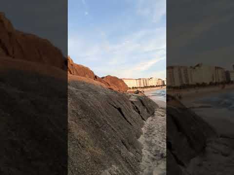 Corruña donde no se puede pasear a los perros PPP ANDA .