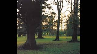 Jandek - Obscure Physics