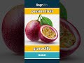 passion fruit - granadilla video thumbnail