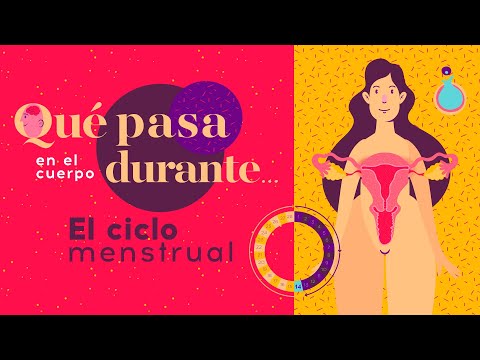 Qué pasa en el cuerpo durante... el ciclo menstrual 🩸