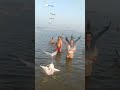 Ganga Snan At Prayagraj Shorts Status