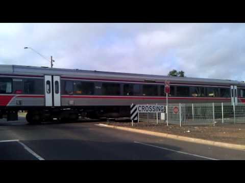 5x Sprinters arriving Melton Station - V/Line Passenger