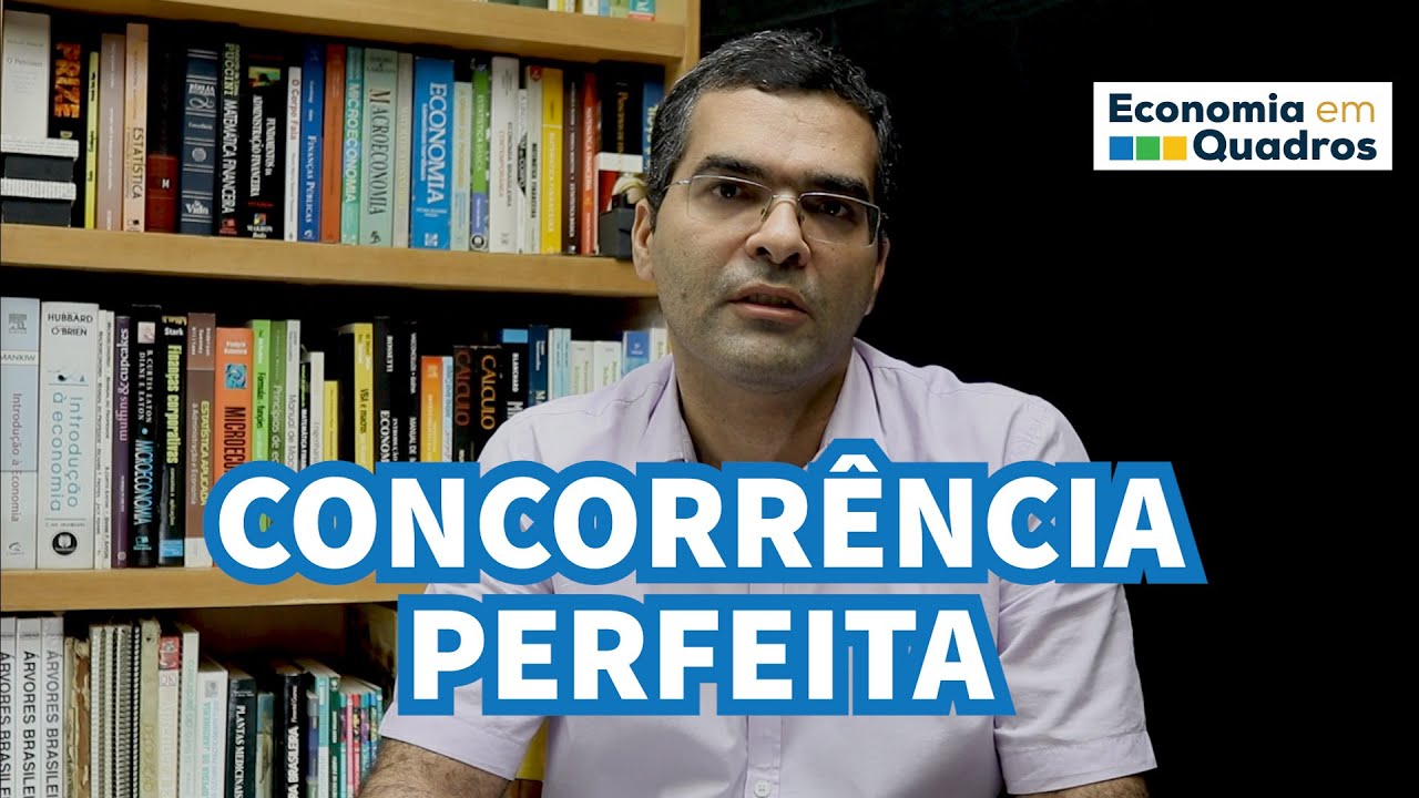 CONCORRÊNCIA PERFEITA - Entenda os termos econômicos.