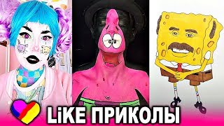 ЛУЧШИЕ ВИДЕО ЛАЙК 2019 Подборка | ПРИКОЛЫ Like Самые Няшные и Прикольные Видео