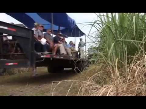 Lafourche Parish Sugarcane Field Day 2012, Raceland, La. - American Sugar Cane League