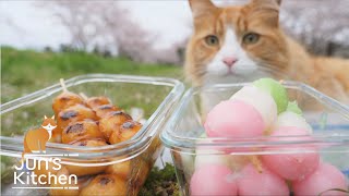 your cats are gonna love it when you become an old man so they can tag along with your hunched back all the time lol!!（00:03:00 - 00:10:53） - Homemade Japanese Dumplings (Dango)