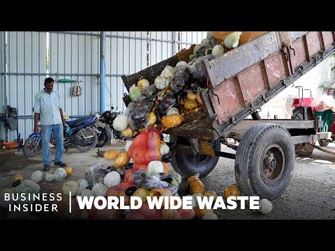 How Food Waste Can Be Turned Into a Clean Energy Source