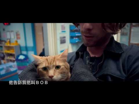 「遇見街貓BOB」國際第二支預告（中文字幕）