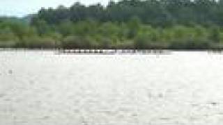 preview picture of video '2008 SRAA Nationals Women's Freshman 8 Semi-Final 2'