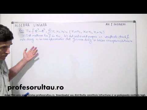 35   Valori si vectori proprii   partea 2 - profesorultau.ro