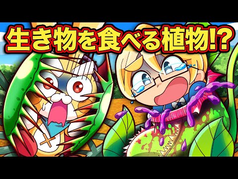 園芸 食虫植物、さまざまな種類のトラップ