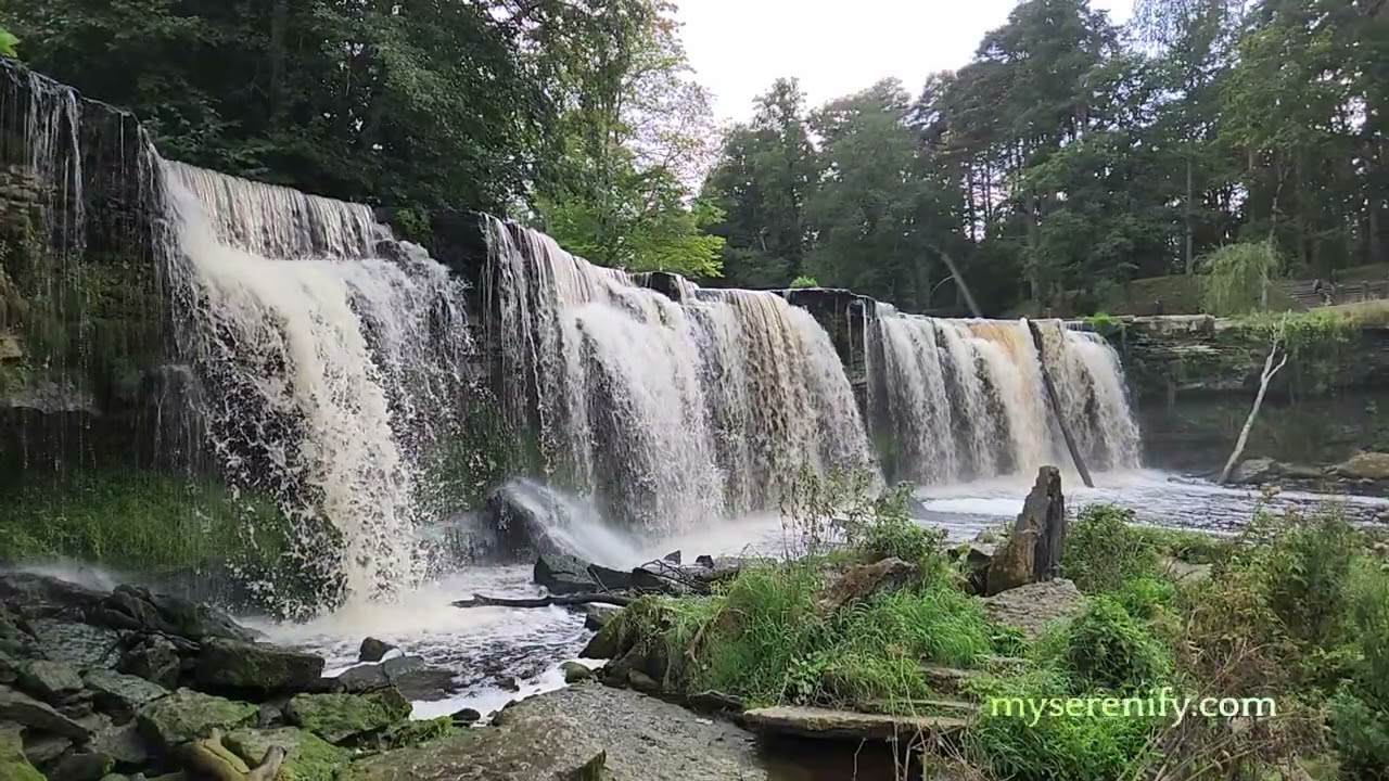 Experience the Magic of AI Meditation for Spirituality and Energy