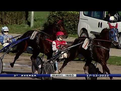 Aversa trotto 17 Dicembre 2022 - 3° Corsa