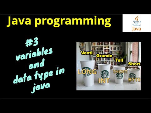 Java Programmingvariables Data Typein Tamillecture 3