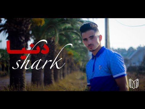 shark Denya (vidéo clip)  #reels #rection #rapalgerin