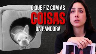 JOGUEI AS COISAS DA PANDORA FORA?