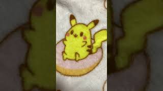 毎日ポケカ開封308日目
