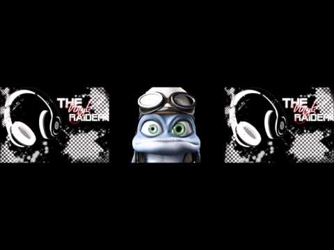 THE VINYLRAIDER - YOU THINK THE MOTHERFUCKIN FROG IS CRAZY