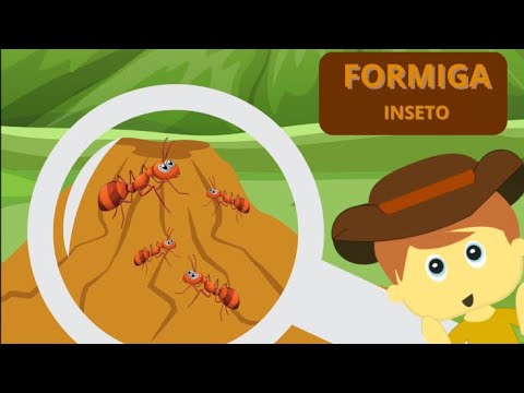 Vida de formiga - Vídeo educativo infantil