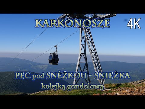 Składający się z mięśni poprzecznie prążkowanych Jak rozluźnić mięśnie zwieracza pęcherza