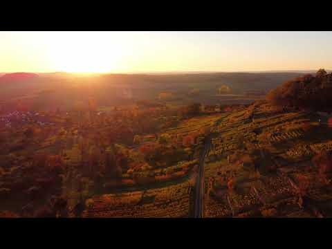 Aerial footage of flight over beautiful vineyard and autumnal forest during breathtaking sunset