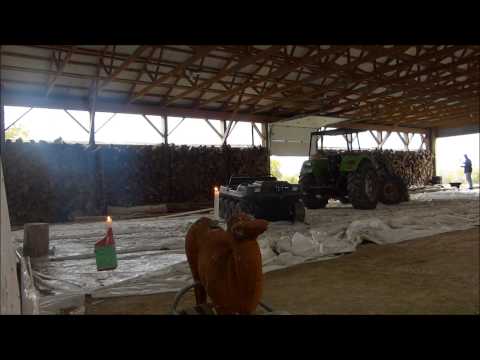 Instinctive Archery - consecutive candle shots