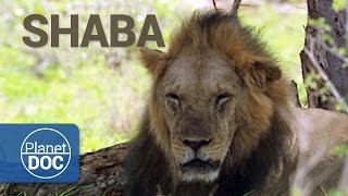 Full Documentary. Shaba. The Land of God and Devil