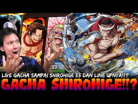Bahas Line Up Shirohige Dan Gacha Shirohige Sampai E5!!? - Epic Treasure