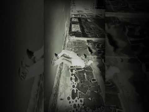 LIK150 ABMEER  VOLGME BIJ MUCAL Y