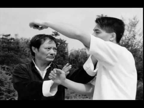 Thumbnail for Wong Shun Leung Tribute Video by Brian McComas