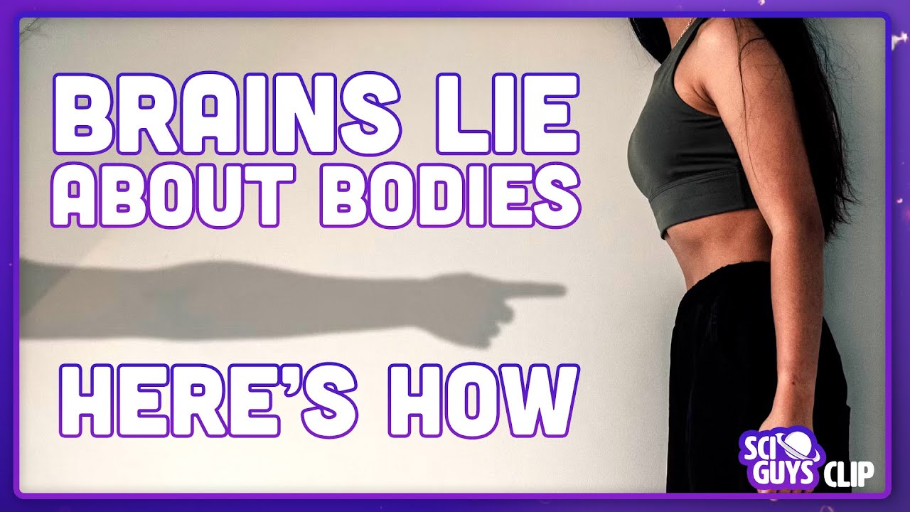 Body Dysmorphia & Psychosis | Sci Guys Clip