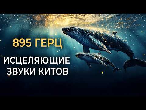 🐋 895 Hz Healing Whale Song for Removing Energy Blocks, Relieving Tension, and Deep Sleep