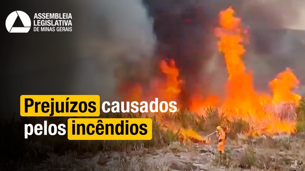 Queimadas exigem ações durante todo o ano