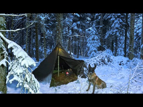 3 Days WINTER CAMPING in Blizzard With My Dog, Survival, Off Grid, Nature Movie, Snowstorm Bushcraft