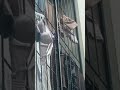 Bra Putih Milik Tante Braterbuka