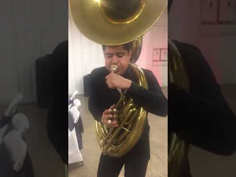 La Pava, en vivo "Banda La Enkantadora" Pues Quién Más, Hugo Campos 7087431975