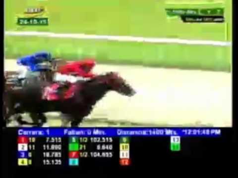 LA RINCONADA 1 CARRERA, SABADO 24 DE OCTUBRE DEL 2015