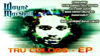 Stupid Money (Wayne Marshall, versāo Lab Produz) CONCURSO DE REMIX