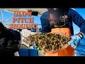 Slow Pitch Jigging - North Carolina