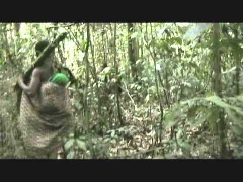 Bayaka people hunting in the forest