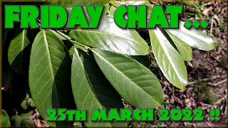 Friday Chat - Raining Sand, Bad start for McLaren, Channel Summary and Stuff !