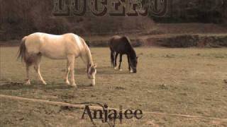 Lucero - Anjalee