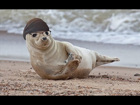 Suikoden Tactics First Playthrough || Big Suikoden 1-5 Marathon!