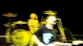 plus-44 cliff diving