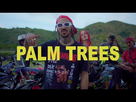 Gold Lemonade - Palm Trees (Official Video)