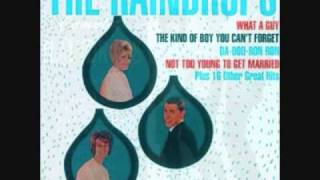 The Raindrops - THE KIND OF BOY YOU CAN&#39;T FORGET