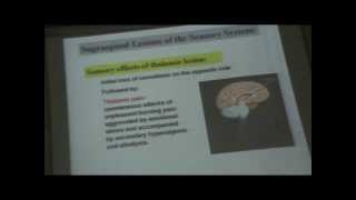 Dr Maha Sabry CNS 16 " pain control & lesions of the sensory system"